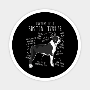 Boston Terrier Dog Anatomy Magnet